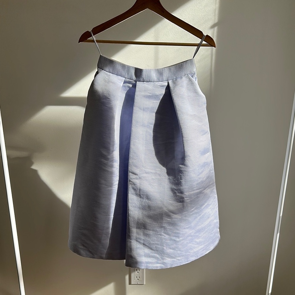 Elegant Blue Women's Skirt